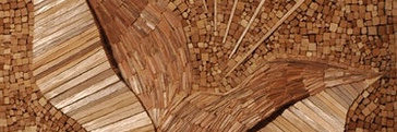 Detail from Blossom by Dan Trajman, 2006